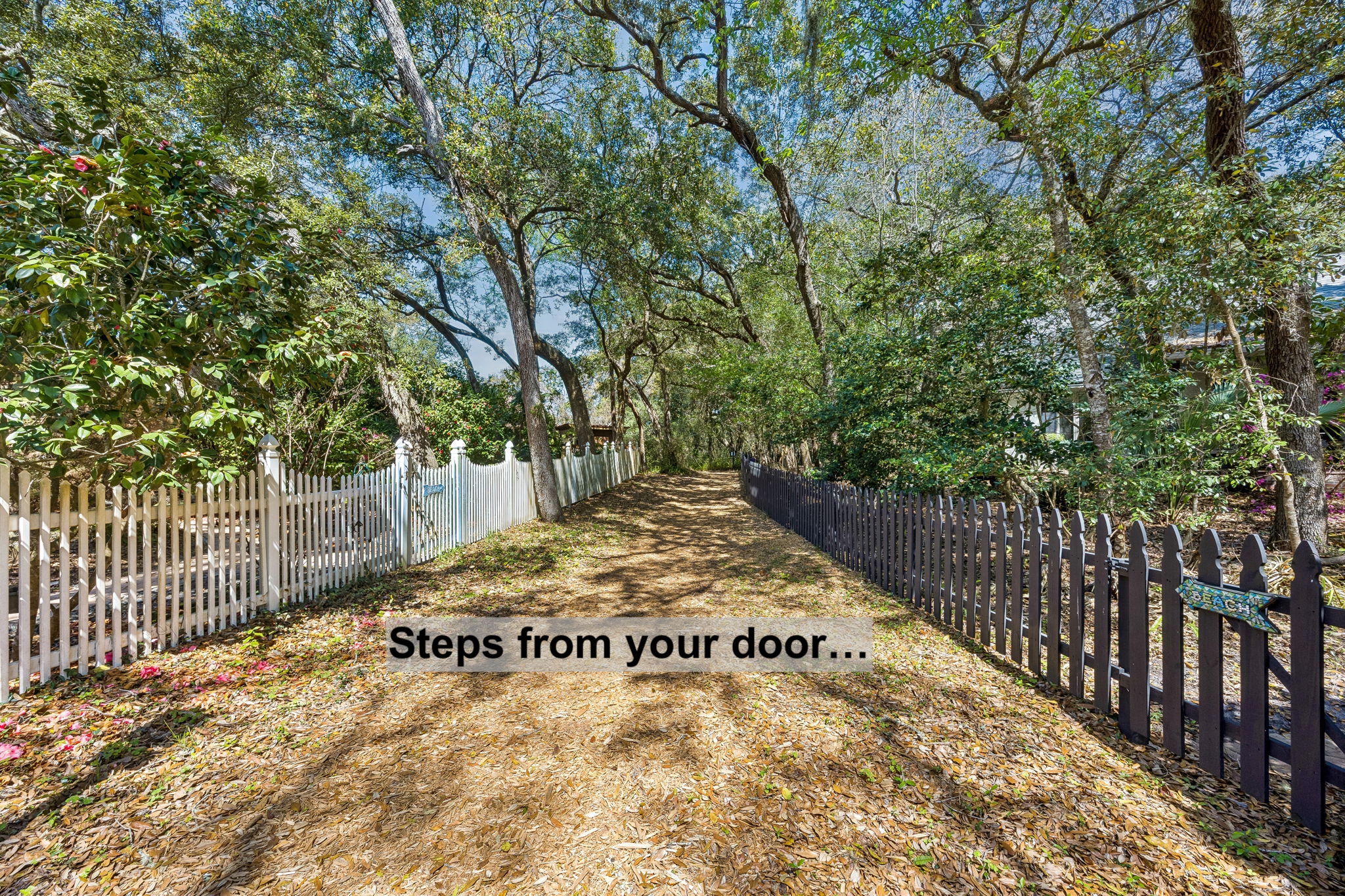 Steps from your door, a wooded pathway begins the easy journey toward the beach…