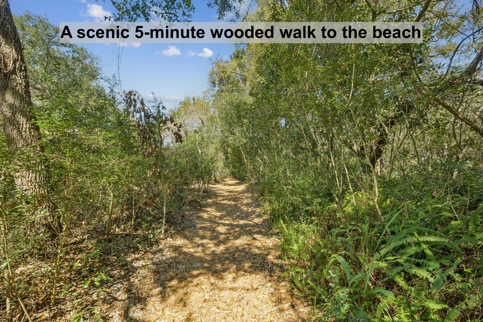 …a scenic five-minute walk through natural coastal shade.