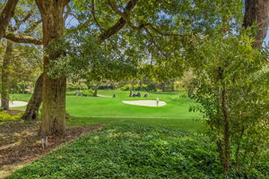 …or simply enjoy the quiet rhythm of golfers passing beneath the oaks.