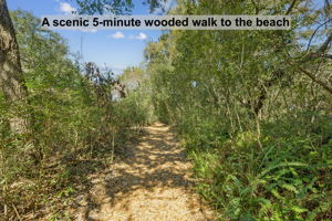 …a scenic five-minute walk through natural coastal shade.