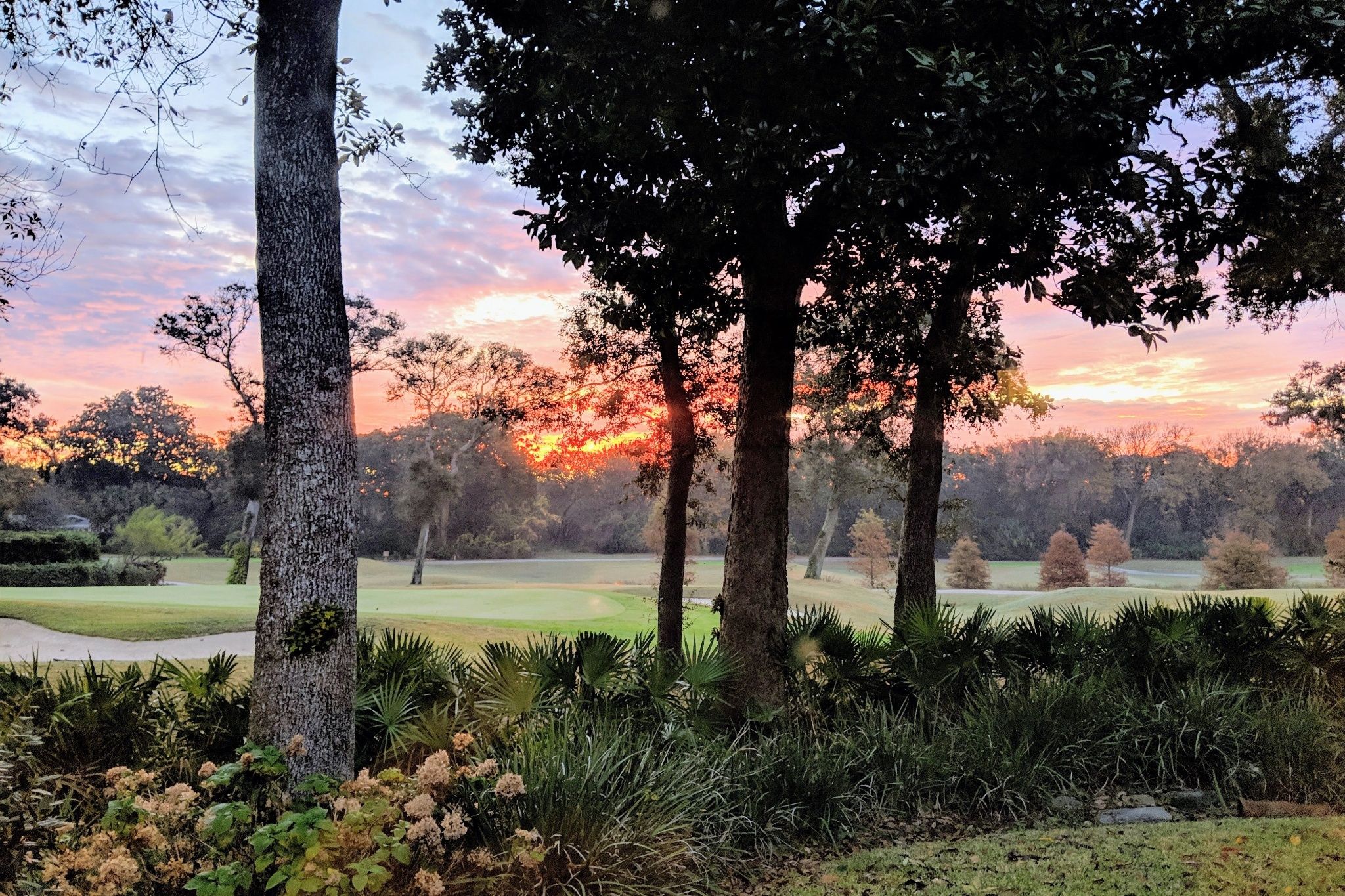 A backdrop that turns everyday living into something quietly extraordinary.