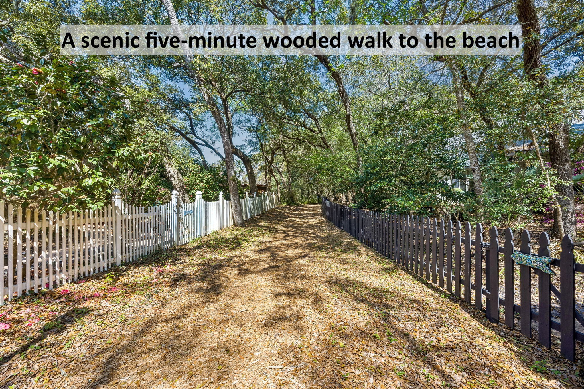 From here, a scenic wooded path leads you toward the beach in about five minutes.