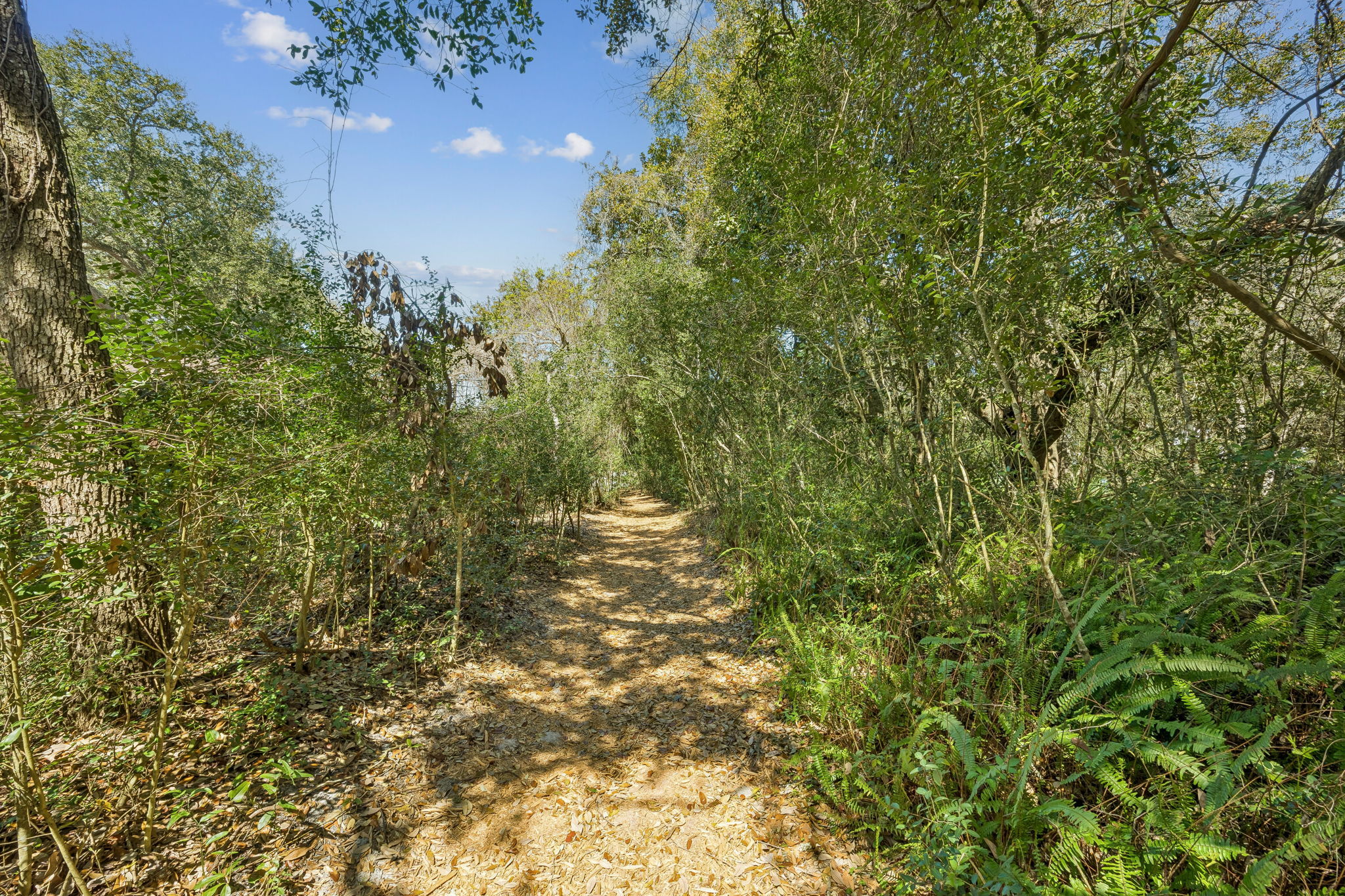 It is the kind of walk that makes getting there feel like part of the experience.