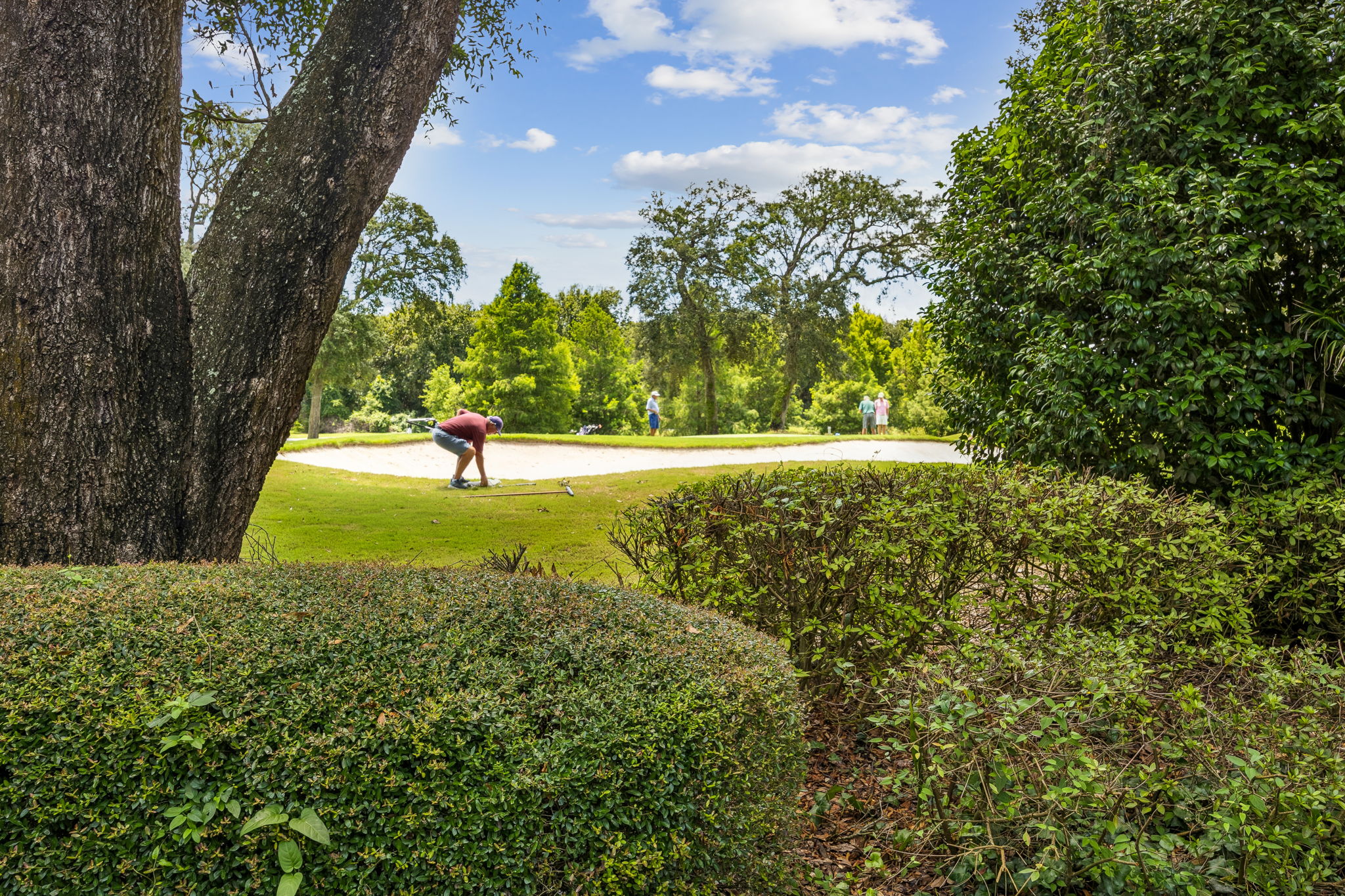 Backyard