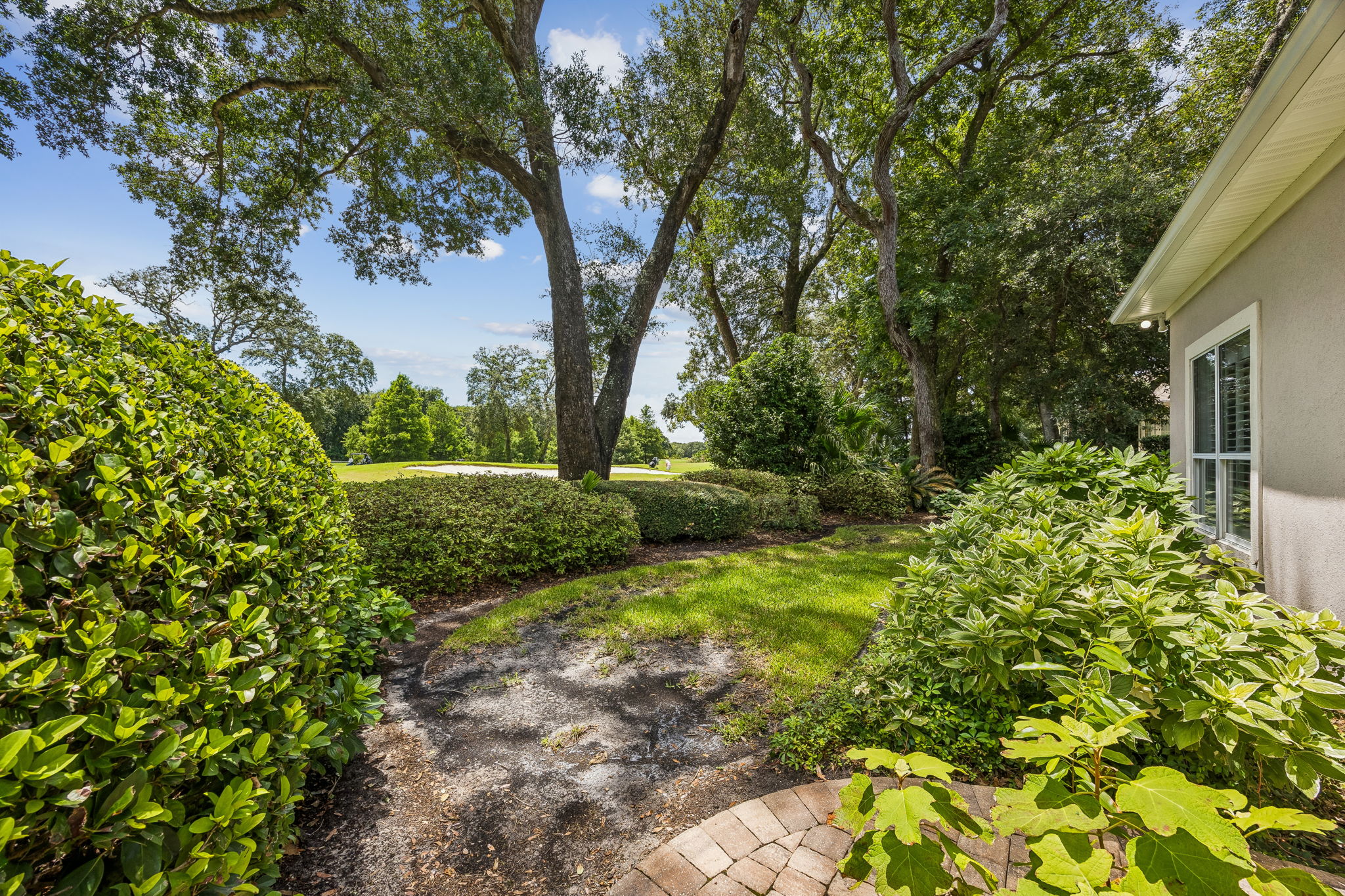 Backyard