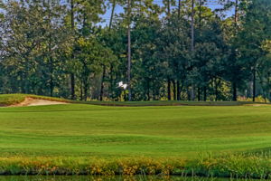 ...and considered by many locals to be the best golf course in the area