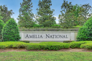 Amelia National is a golf-course community offering one of the area’s finest vacation lifestyles ...