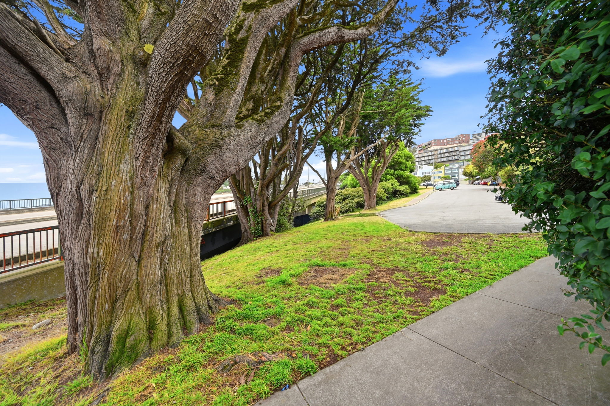 036_F8_955 Corbett Ave 6