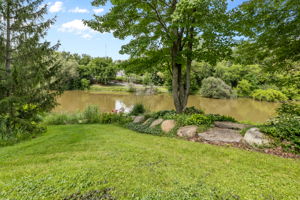  Photo 85
