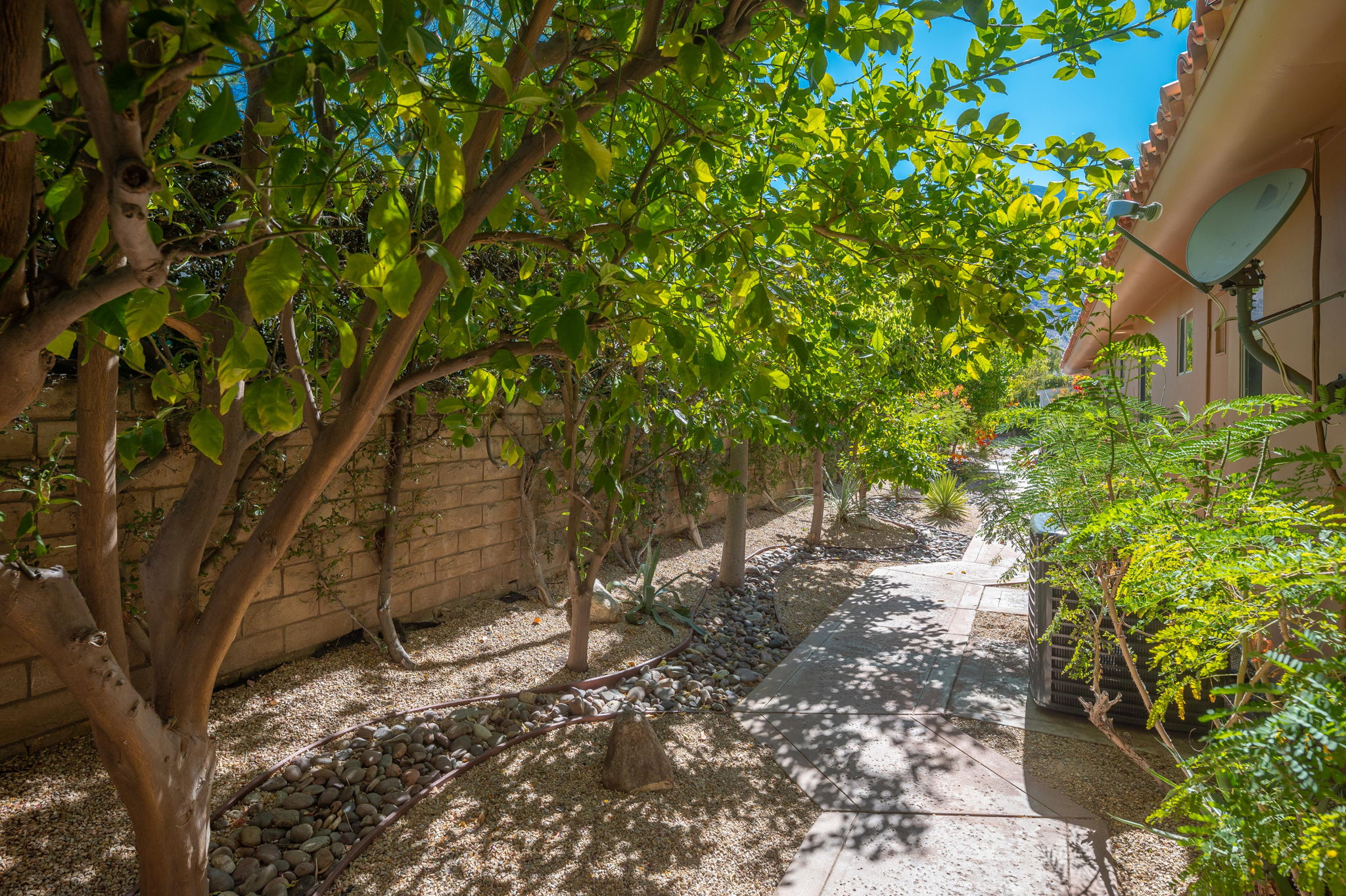  955 E Azalea Cir, Palm Springs, CA 92264, US Photo 38