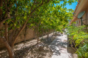  955 E Azalea Cir, Palm Springs, CA 92264, US Photo 37