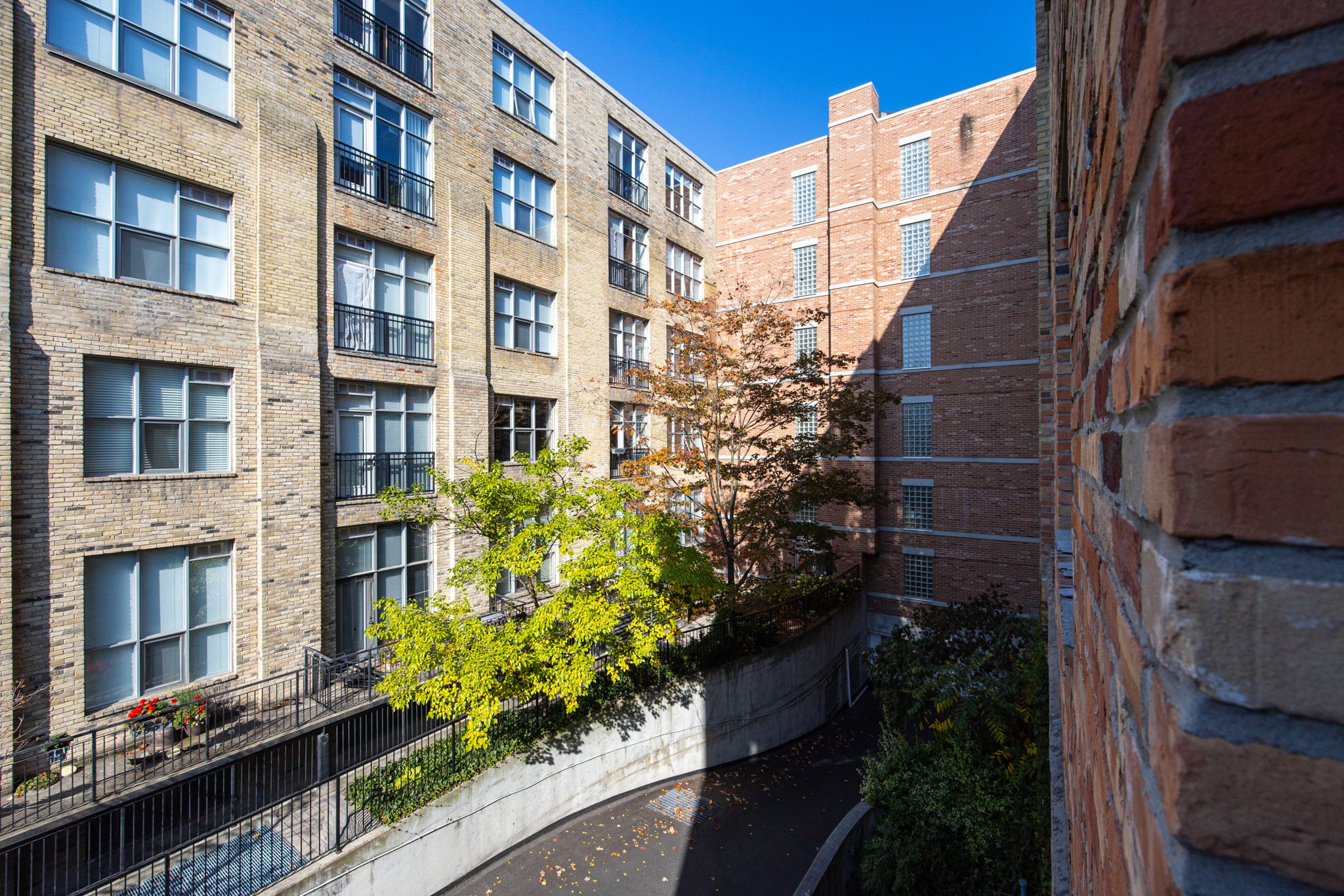Toronto property showcase — delivered property photograph 26
