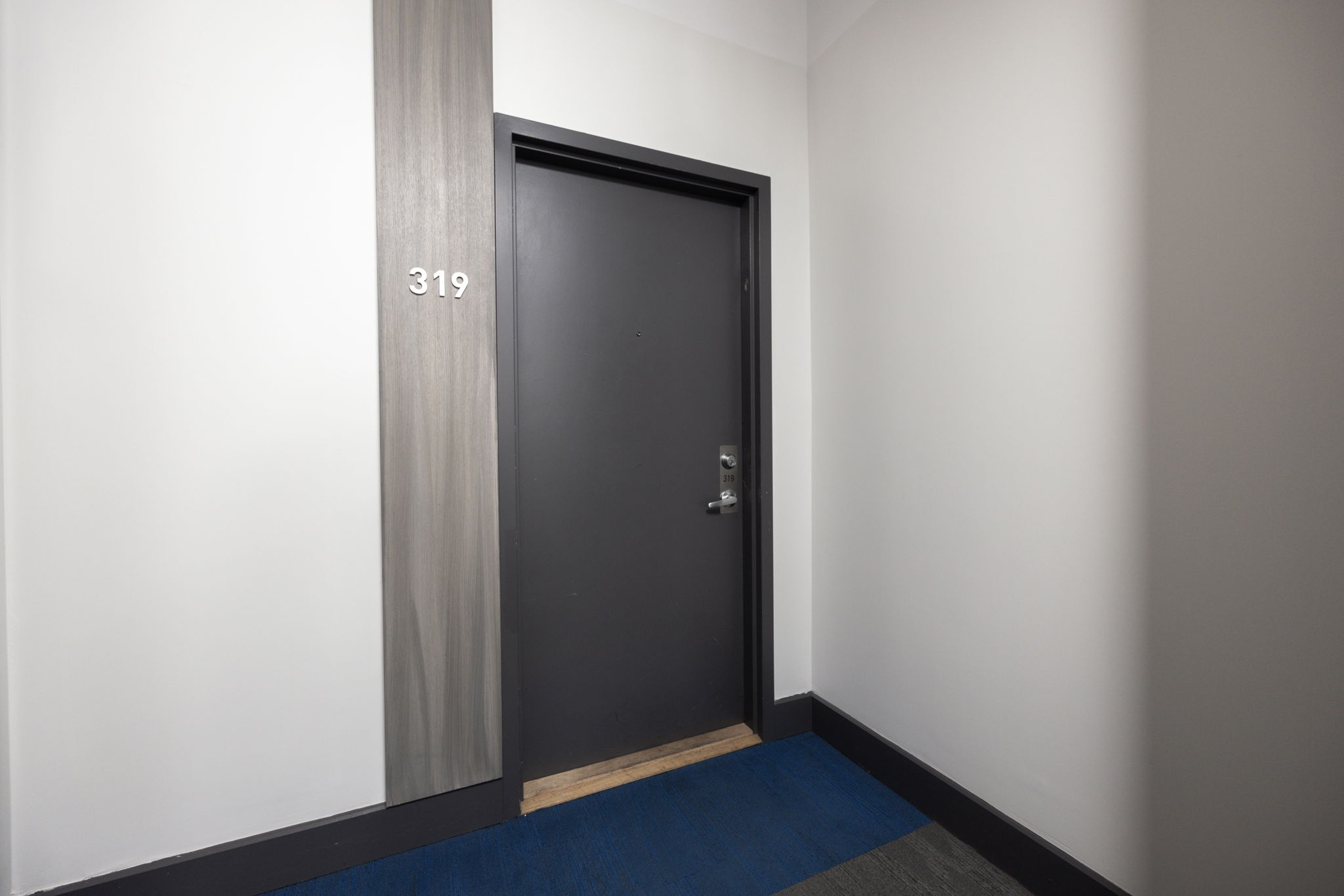 Toronto property showcase — delivered property photograph 4