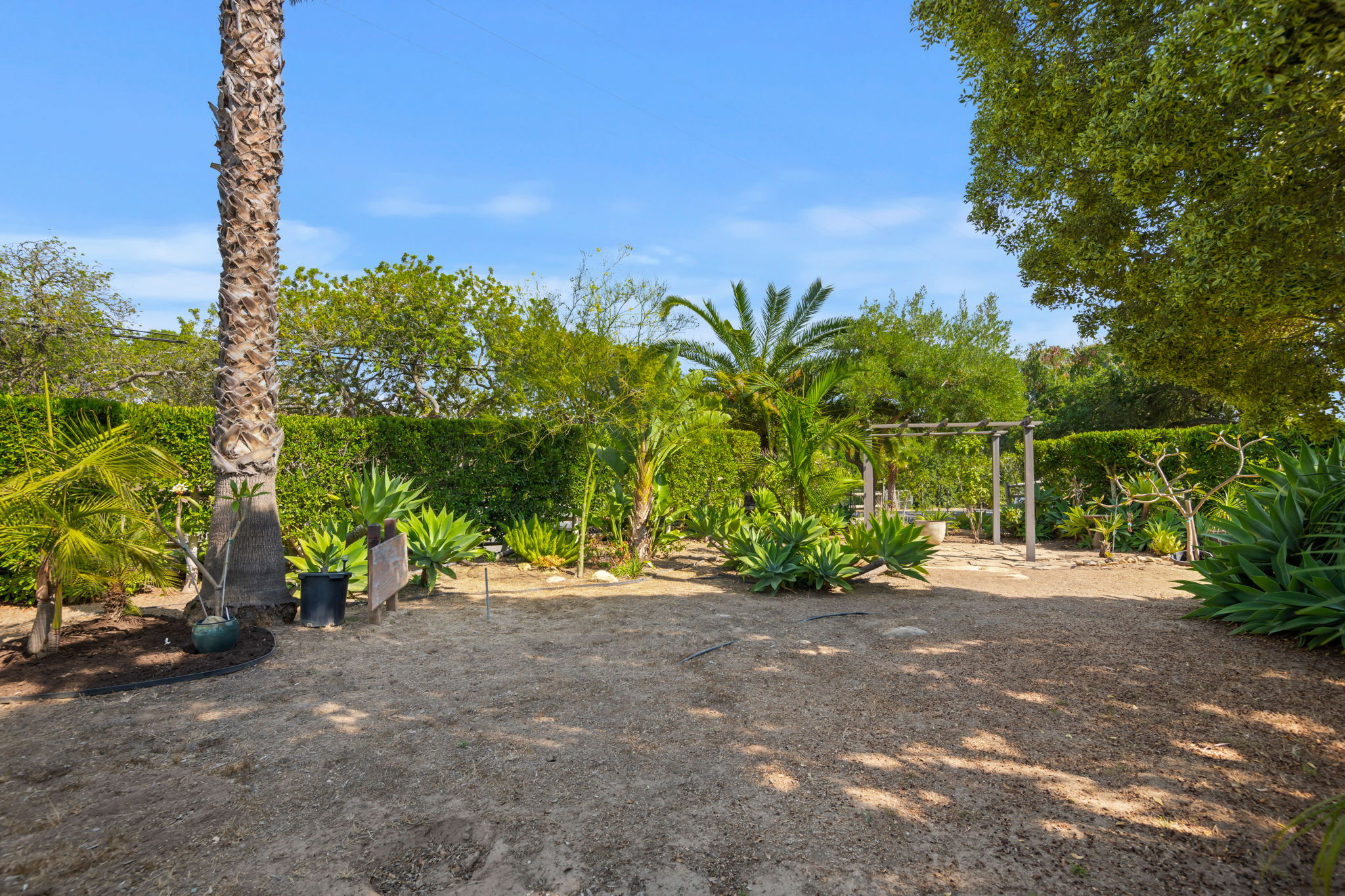 07 - Garden Area
