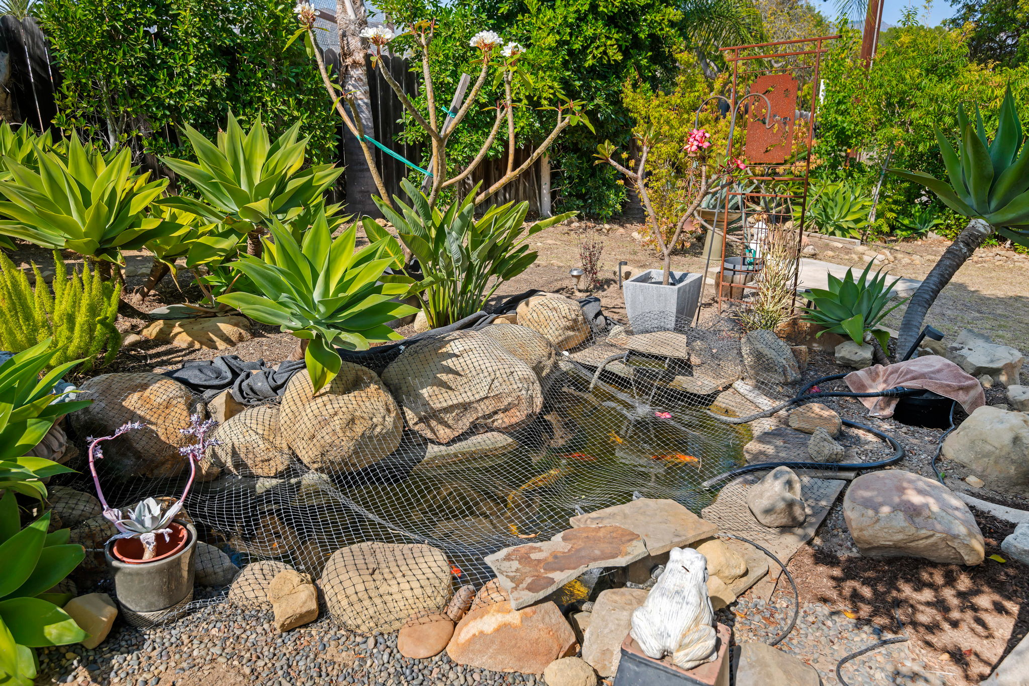 10 - Koi Pond