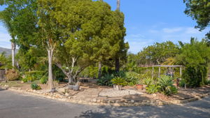 03 - Garden Area