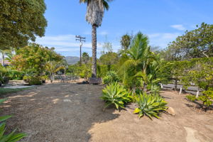 04 - Garden Area