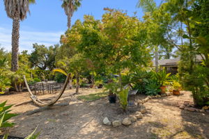 06 - Garden Area