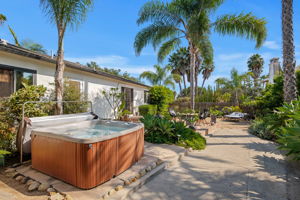 31 - Back Yard
