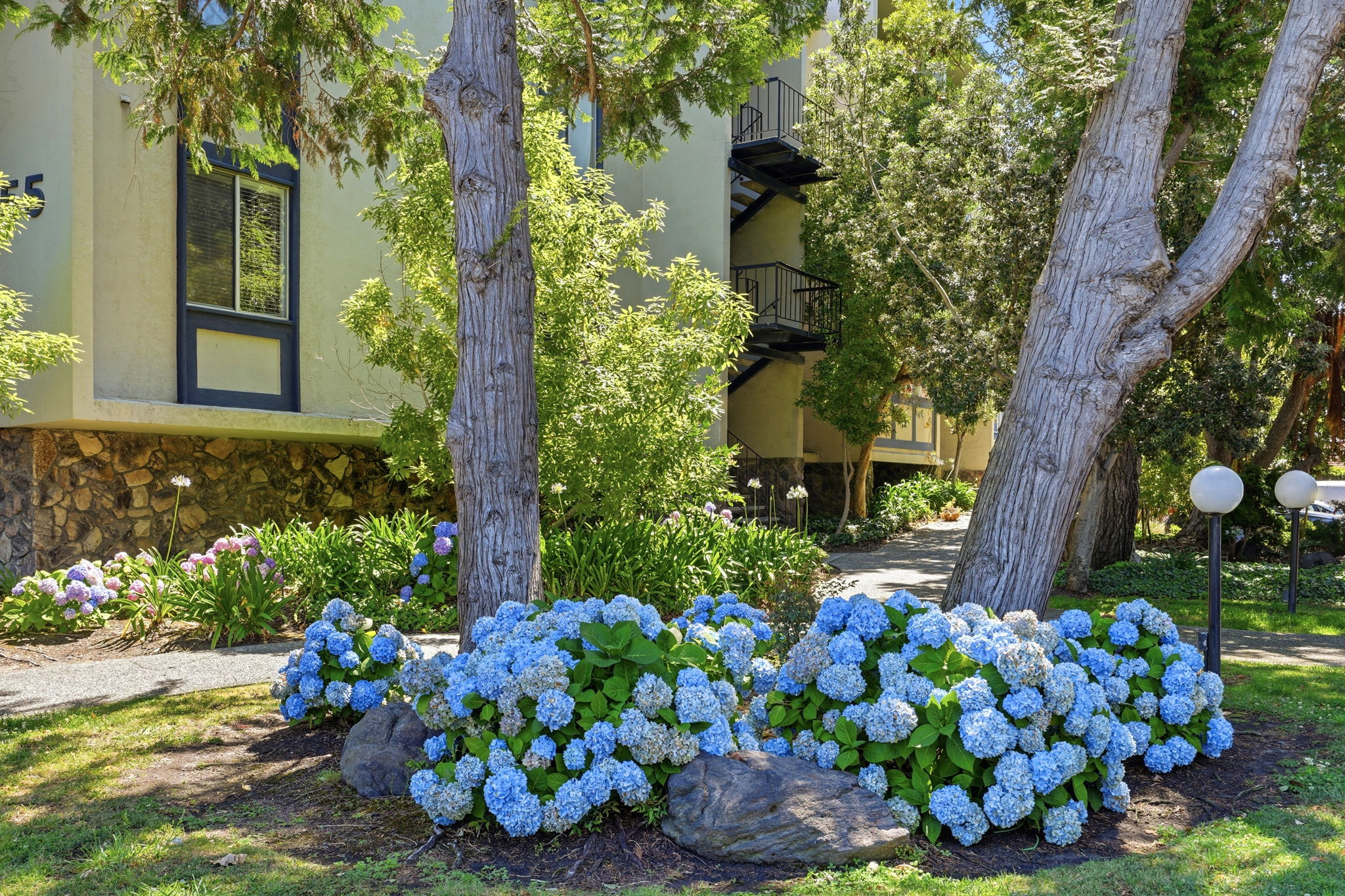 003_F8_955 Shorepoint Ct 208