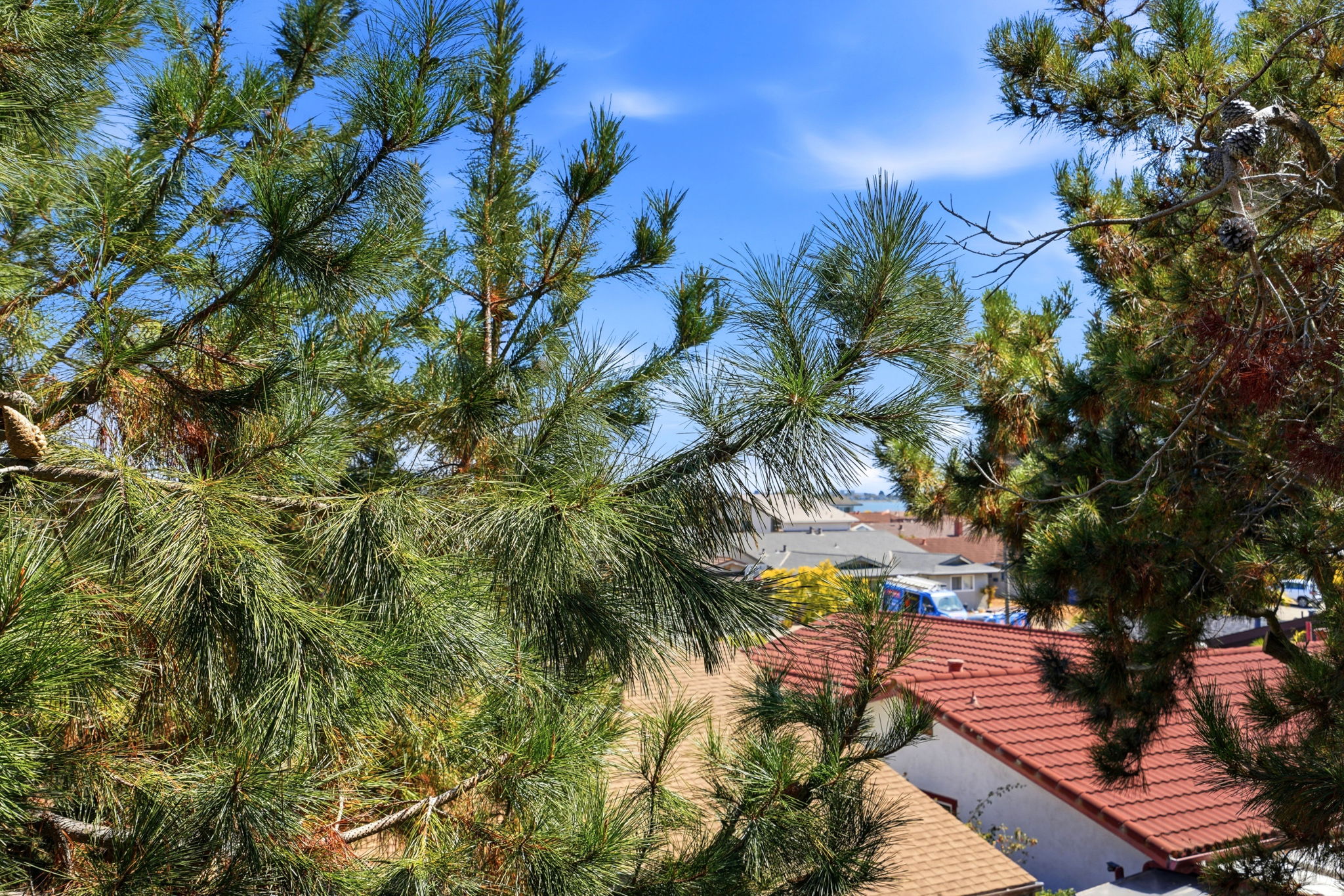 024_F8_955 Shorepoint Ct 208