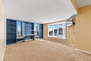 9557 Ute Dr, Golden, CO 80403, US Photo 44