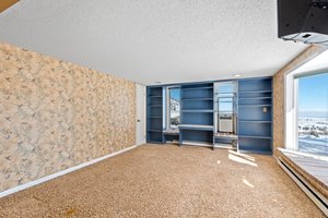 9557 Ute Dr, Golden, CO 80403, US Photo 45