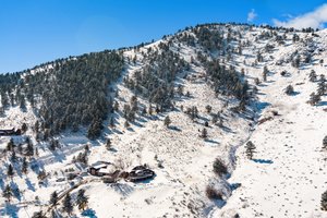 9557 Ute Dr, Golden, CO 80403, US Photo 4