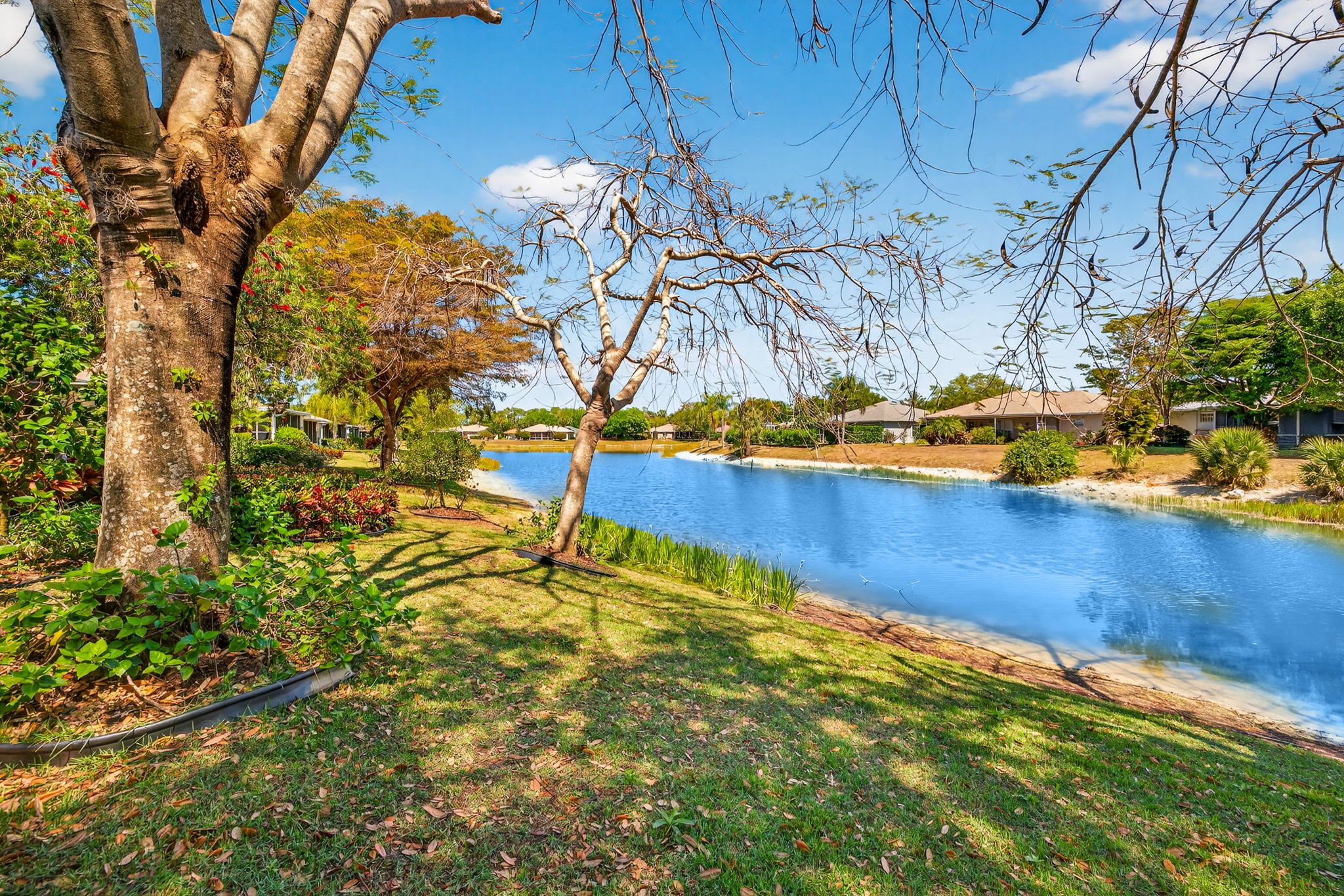 Rear Exterior 2 of 3