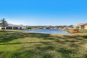 Backyard Lake View