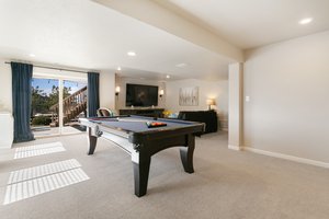 Rec Room Basement