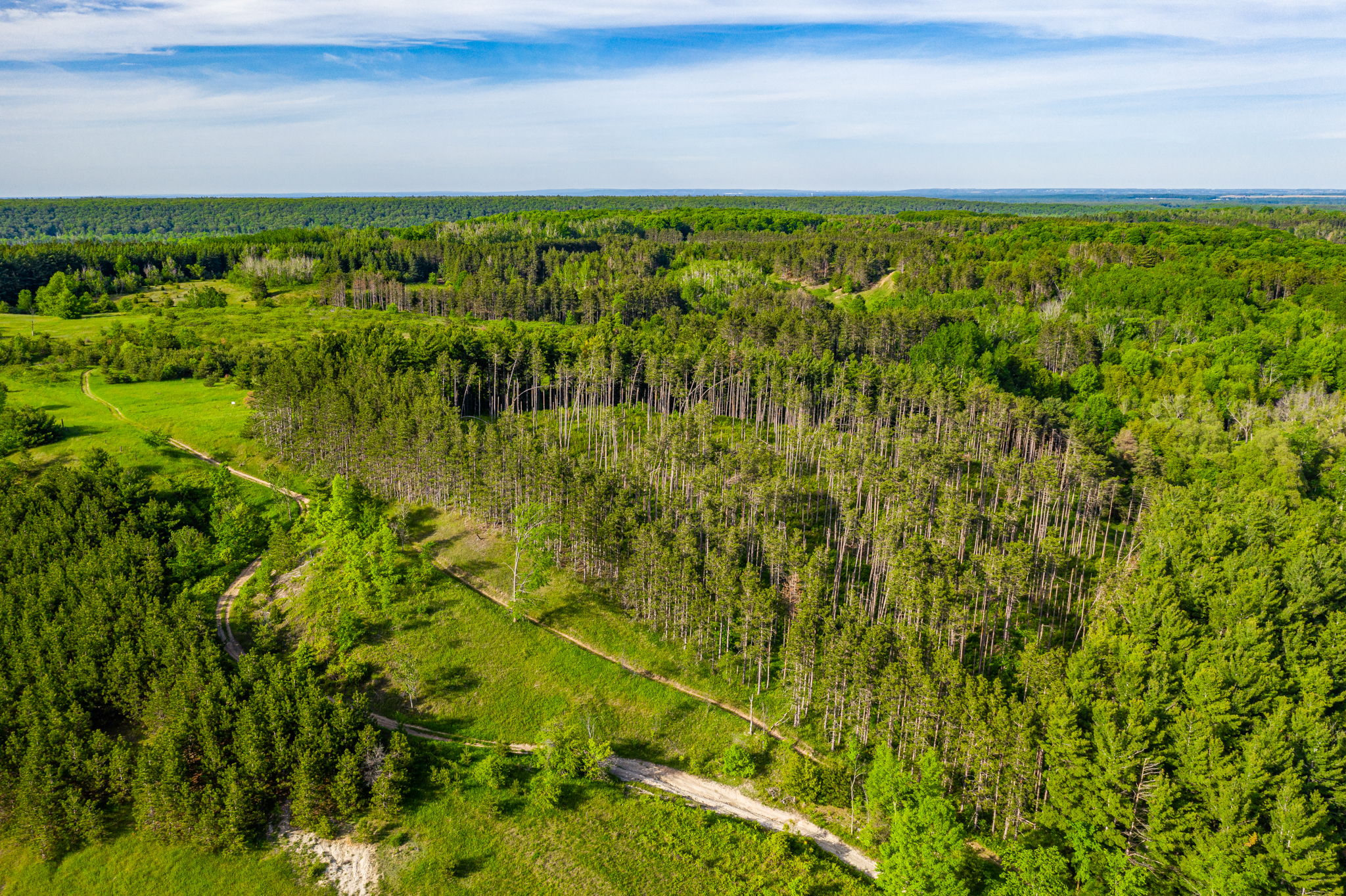  957269 E 7th Line, Mulmur, ON L0N 1M0, US Photo 5