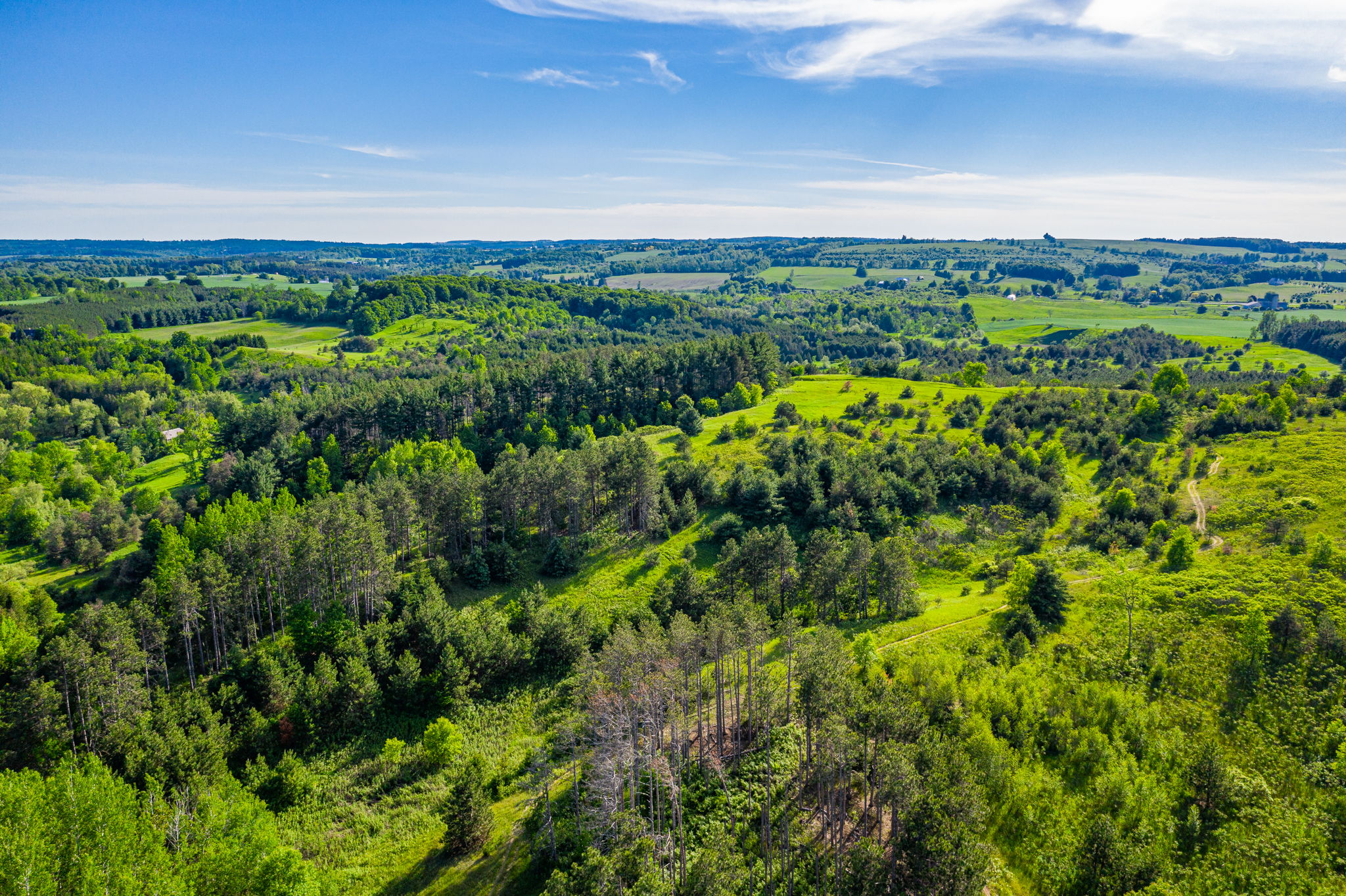  957269 E 7th Line, Mulmur, ON L0N 1M0, US Photo 16