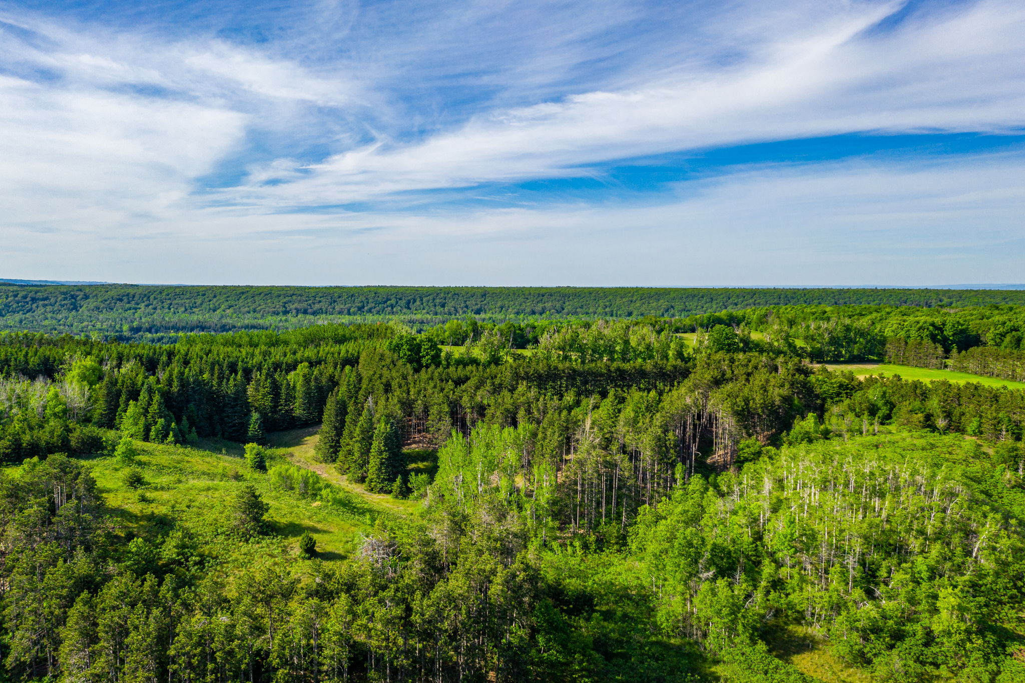  957269 E 7th Line, Mulmur, ON L0N 1M0, US Photo 10