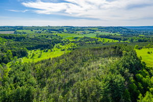  957269 E 7th Line, Mulmur, ON L0N 1M0, US Photo 8