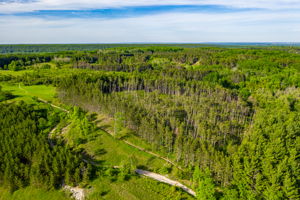  957269 E 7th Line, Mulmur, ON L0N 1M0, US Photo 4