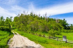  957269 E 7th Line, Mulmur, ON L0N 1M0, US Photo 1