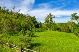  957269 E 7th Line, Mulmur, ON L0N 1M0, US Photo 2