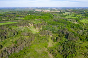  957269 E 7th Line, Mulmur, ON L0N 1M0, US Photo 11