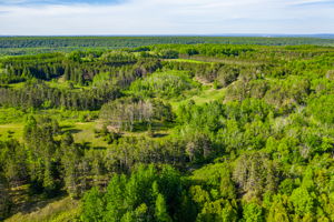  957269 E 7th Line, Mulmur, ON L0N 1M0, US Photo 7