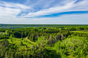  957269 E 7th Line, Mulmur, ON L0N 1M0, US Photo 9