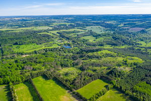  957269 E 7th Line, Mulmur, ON L0N 1M0, US Photo 13