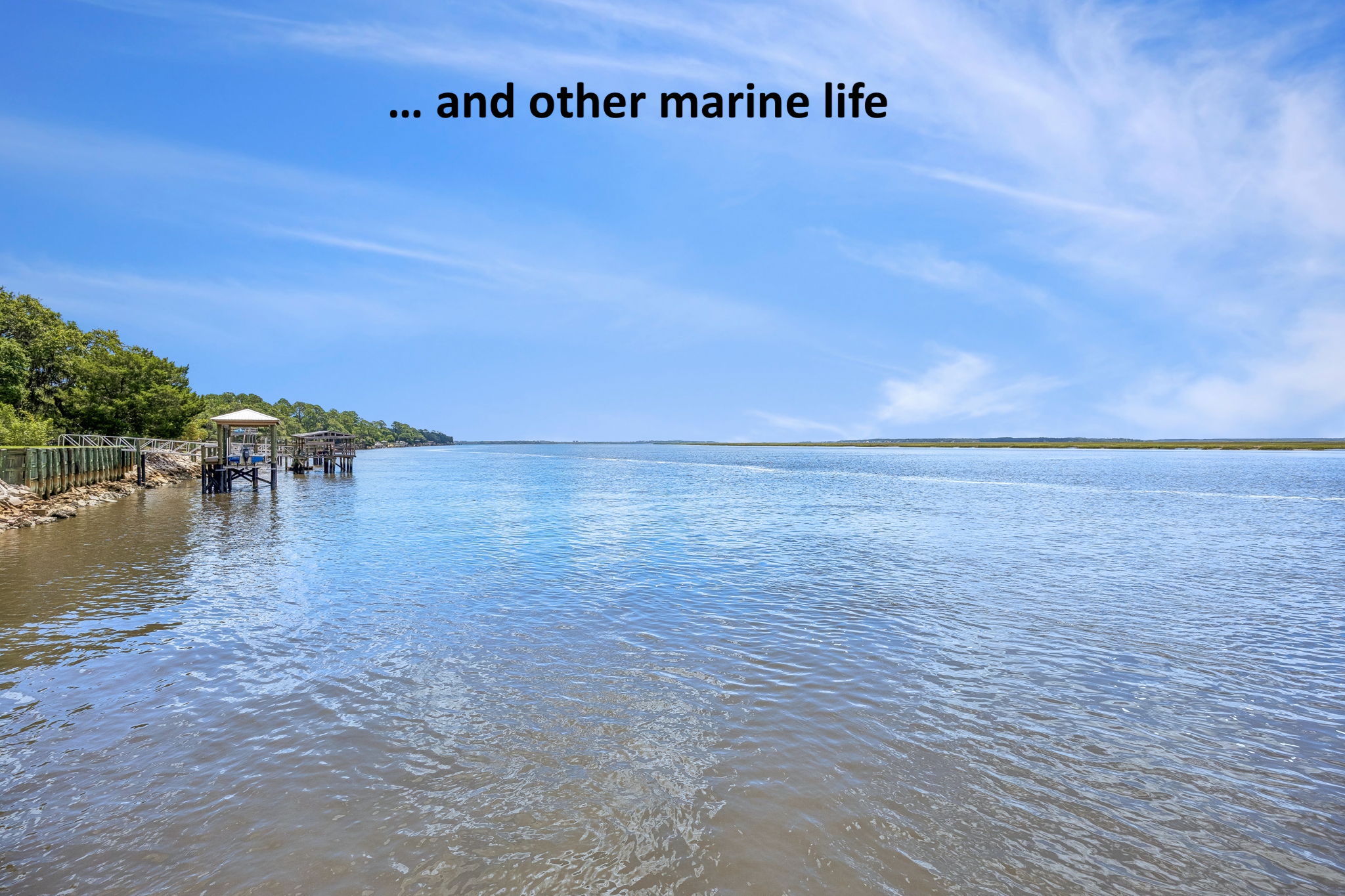 It’s a front-row seat to the natural beauty of the river every single day...