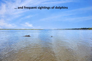 ...with dolphins frequently making an appearance right outside your door...