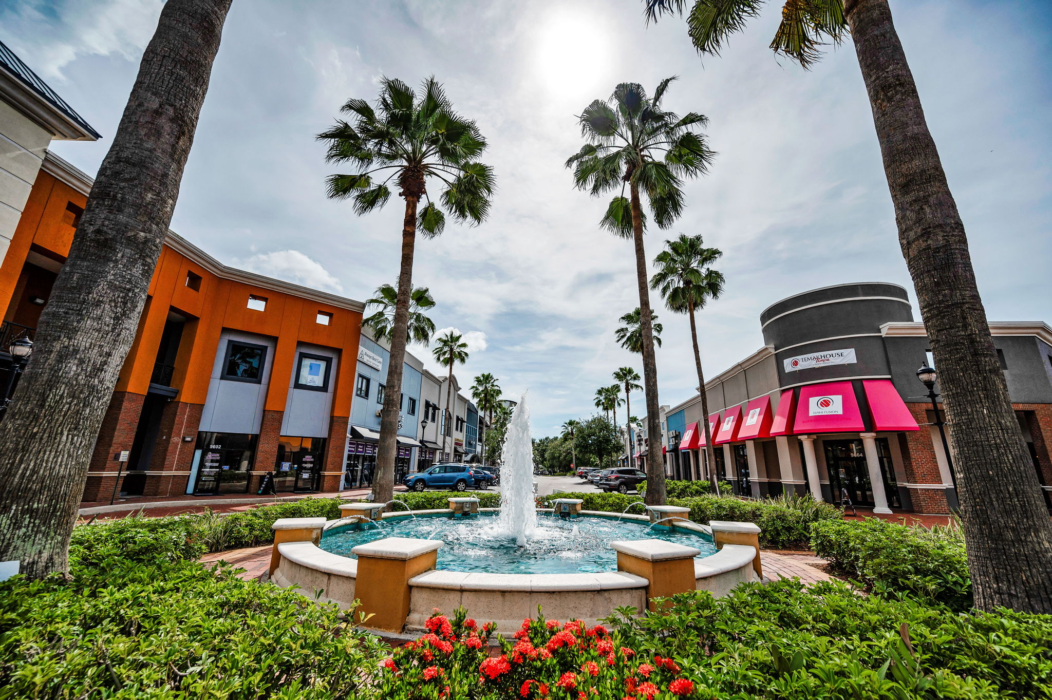 Westchase Town Center13
