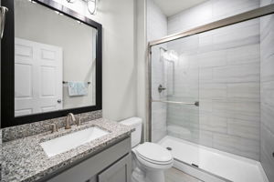 Lower Level Bathroom