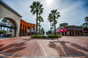 Westchase Town Center12
