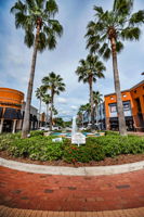 Westchase Town Center17