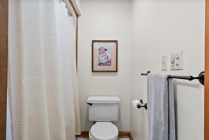  Photo 47