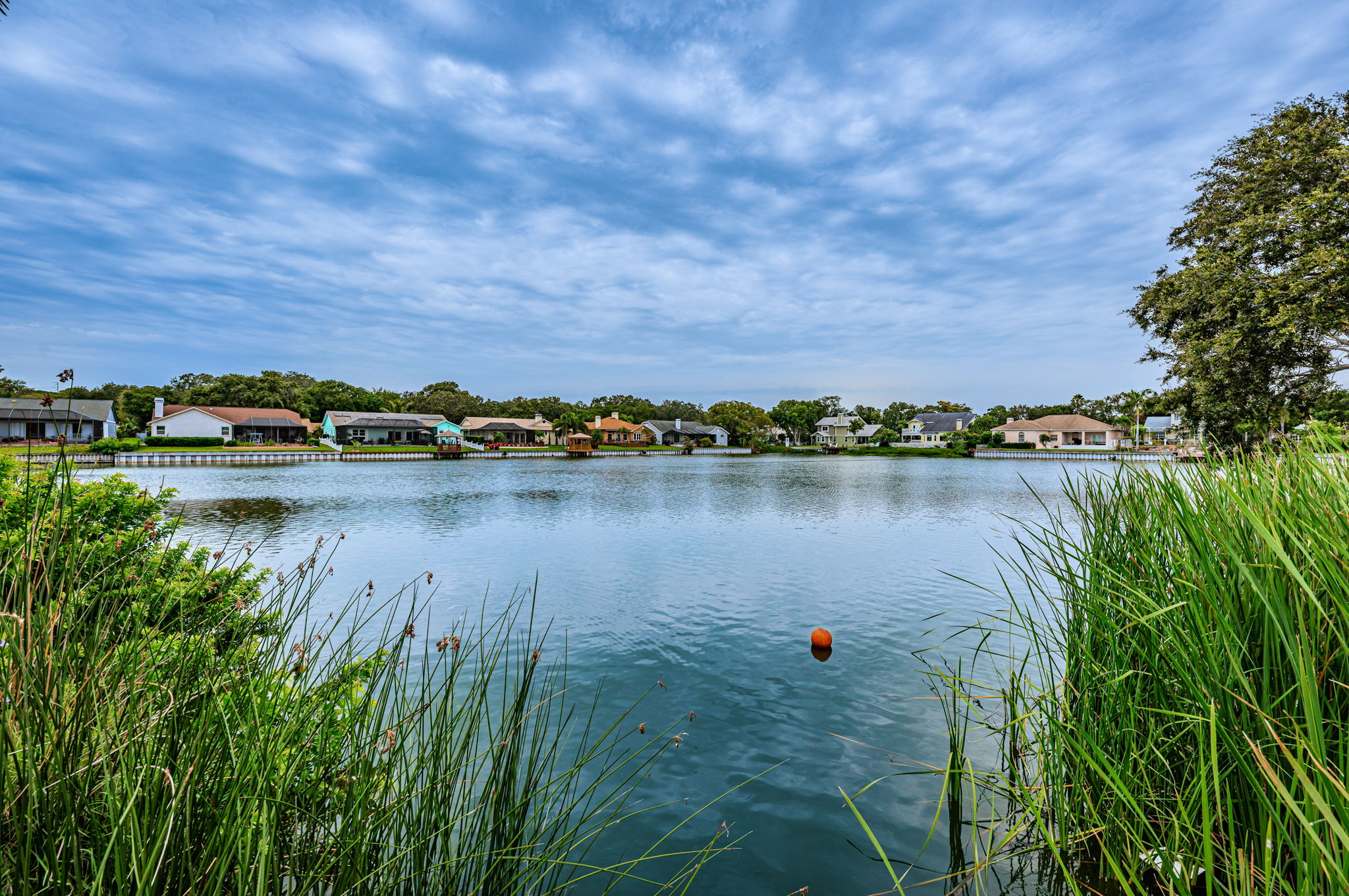 Water View 1